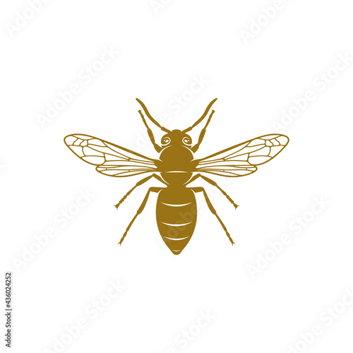 Wasp vector illustration. Wasp logo design concept template. Creative symbol
