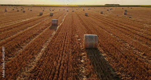 Serbia, Vojvodina, Aerial shot of wheat bales out on a field