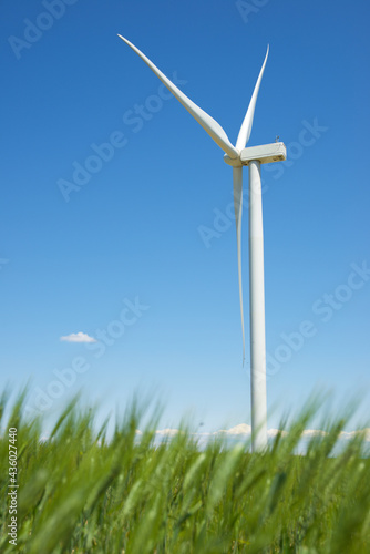 Renewable energy concept view © WINDCOLORS