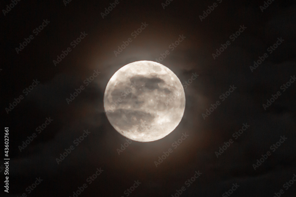 Obraz premium Full moon, Super moon of flowers, photographed in the district of Aveiro Portugal
