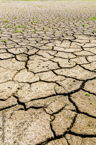 Dry cracked land landscape,drought concept.