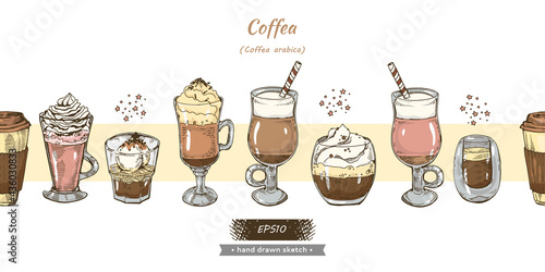 Images of different coffee drinks on the white background.