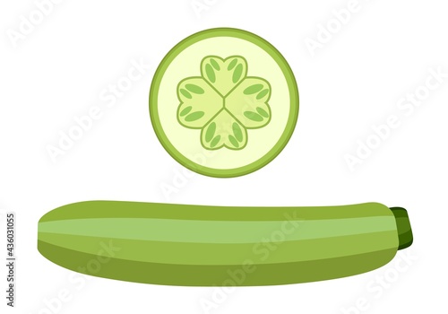 Vegetable marrow  and vegetable marrow slices.  Vector graphics on a white background.