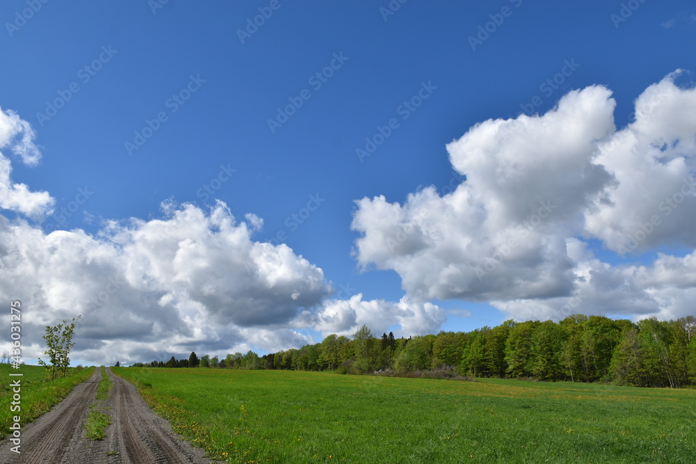 A cloudy sky, the first days of summer A cloudy sky, the first days of summer