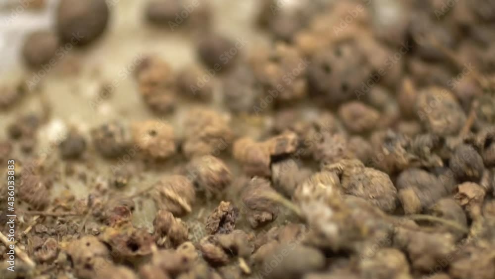 Dried Madder Root Being Extracted Into Herbal Powder, Used As Organic Textile Dye And Medicine Dried Madder Root Being Extracted Into Herbal Powder, Used As Organic Textile Dye And Medicine