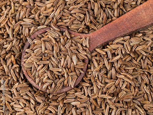 Фотография spoon on pile of caraway fruits closeup