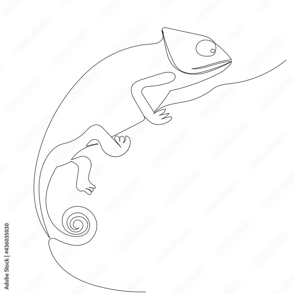 Fototapeta premium chameleon continuous line drawing, sketch