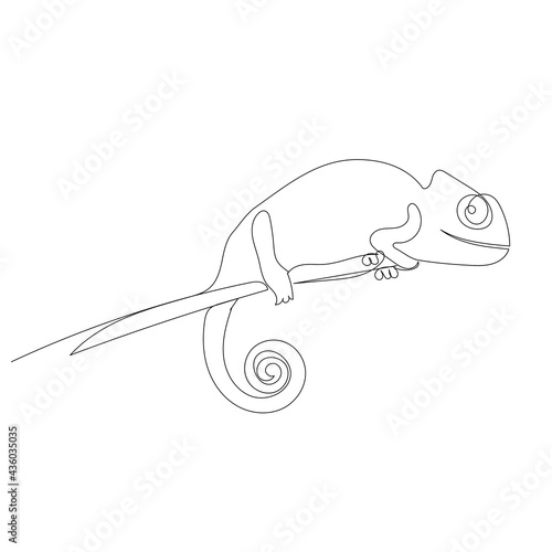 chameleon continuous line drawing, sketch, isolated, vector