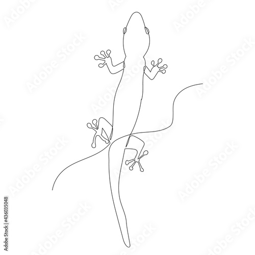 lizard continuous line drawing, sketch