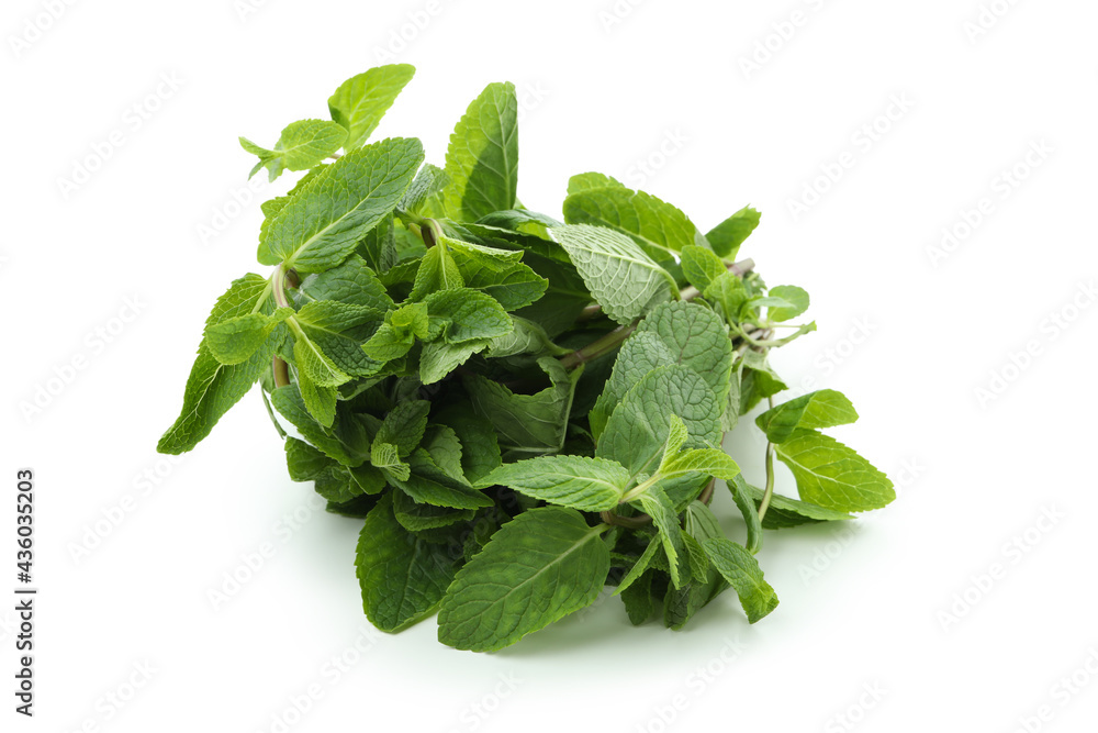 Fresh green mint isolated on white background Fresh green mint isolated on white background