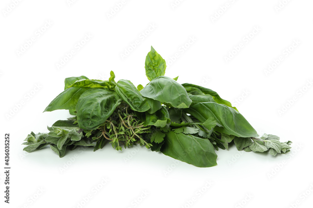 Fresh green herbs isolated on white background Fresh green herbs isolated on white background