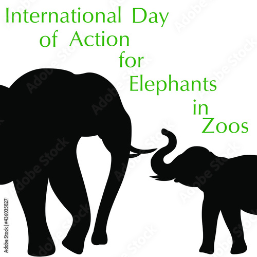 Photography Silhouettes of an elephant and baby elephant