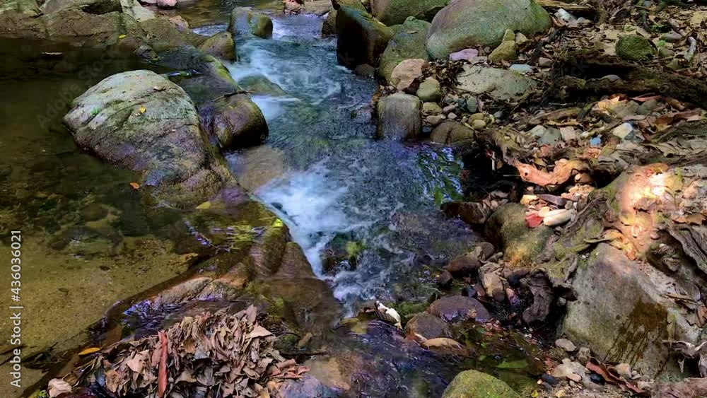 a beatiful calm environment near the waterfall in the jungle in Kedah Malaysia a beatiful calm environment near the waterfall in the jungle in Kedah Malaysia