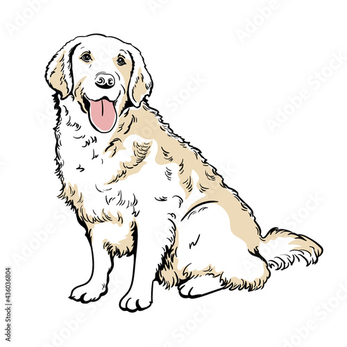 Labrador Retriever. Dog, pet. Silhouette. Line art. Template. Close-up. Clip art. Hand Painting. Ink. Black and white.