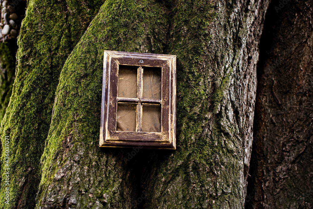 miniature window made with stones in a tree with windows and small. miniature window made with stones in a tree with windows and small.