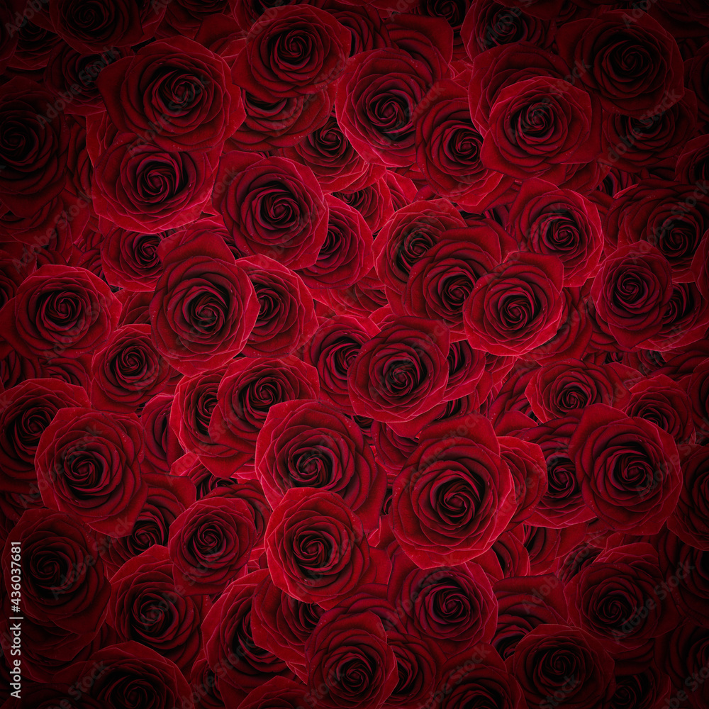 Rose Petals Background Rose Petals Background