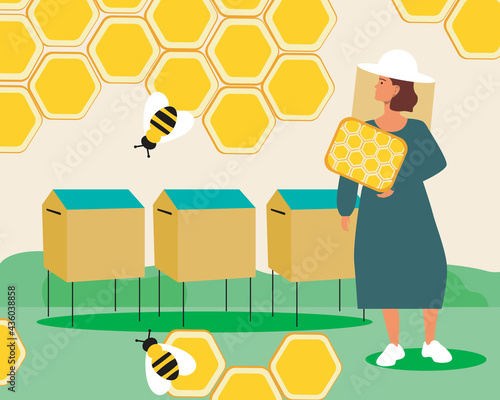 Woman working in an apiary with bees, Flat vector stock illustration with rescuing bees and producing honey