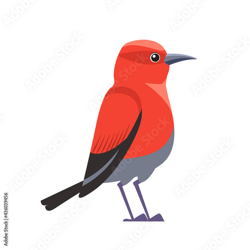 Red bird Apapane Hawaiian Honeycreeper. Exotic Rare bird of the critically endangered Apapane Endemic Bird of the Hawaiian. Cartoon flat vector illustration isolated on white background