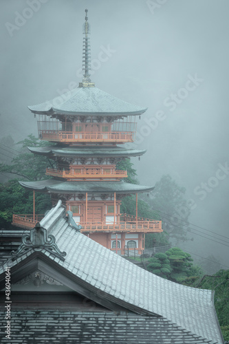 和歌山県 熊野那智大社 新緑