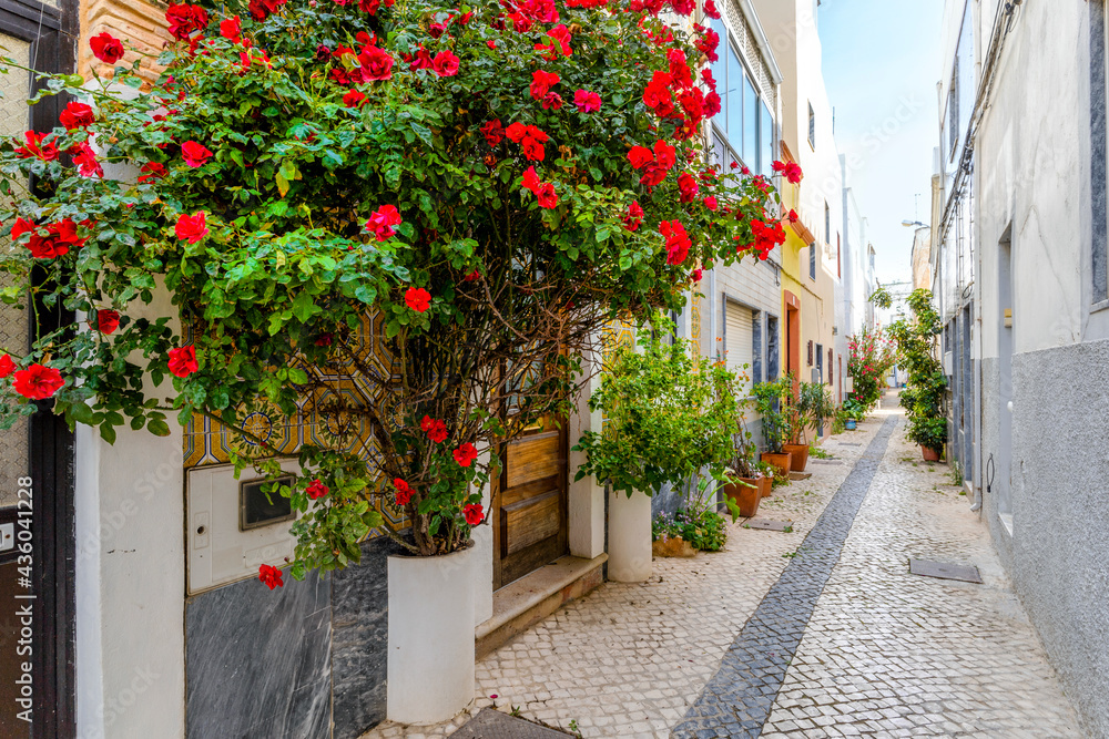 Red flowers and other plants decorating the narrow street of Olhao, Portugal
