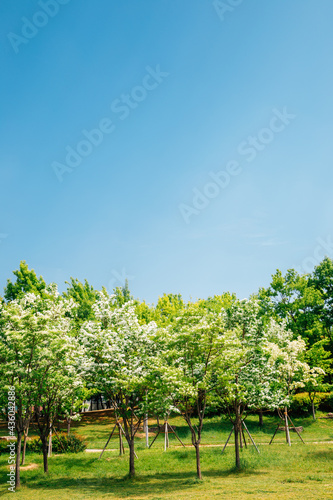 Sureungwon Garden in Gimhae, Korea