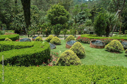 Garden water fountains, trimmed plants and flowers in the middle of the park's forest.