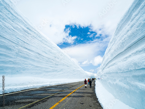 【富山】雪の大谷ウォーク 青空 photo