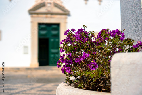 Blooming flowers with portuguese architecture as the background
