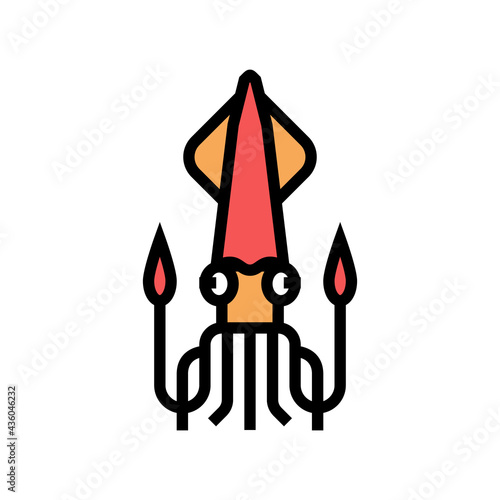cephalopod squid ocean color icon vector. cephalopod squid ocean sign. isolated symbol illustration