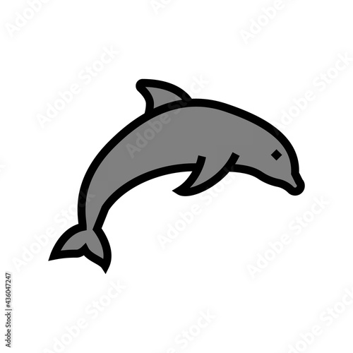 dolphin ocean color icon vector. dolphin ocean sign. isolated symbol illustration