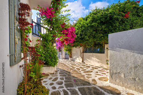 Beautiful traditional streets of Greek island towns. Whitewashed houses, bougainvillea in blossom, greenery, flower pots, cobblestone. Mykonos, Greece