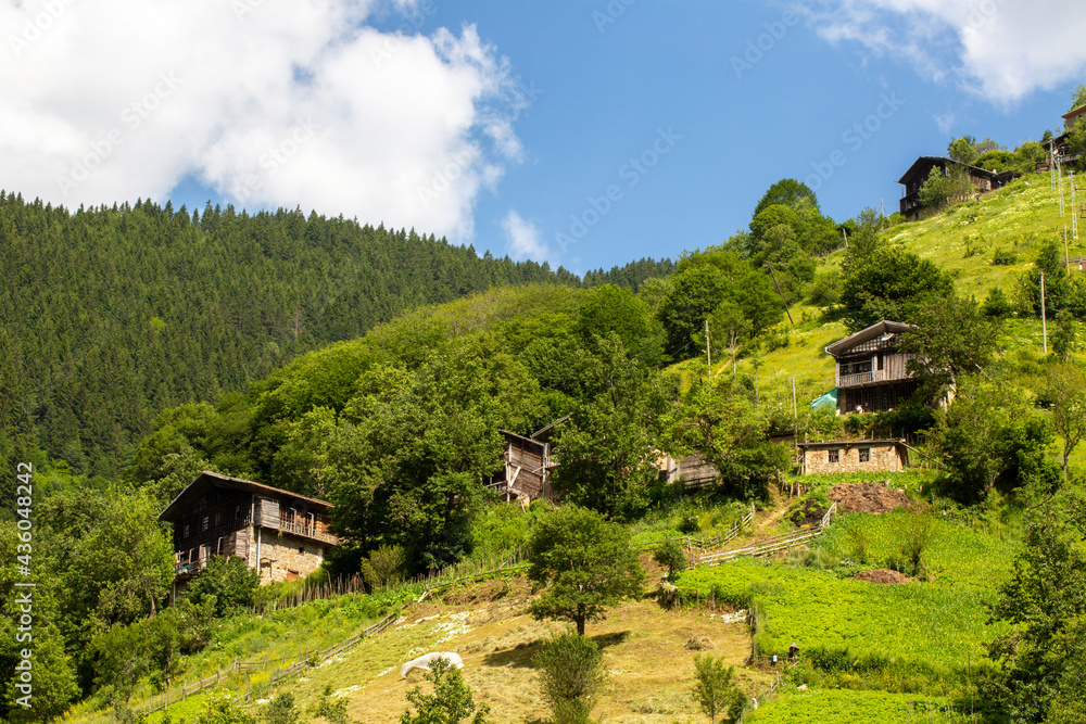 Unique mountain view in turkey with residential areas on it, perfect panoramic view filled with trees. Unique mountain view in turkey with residential areas on it, perfect panoramic view filled with trees.