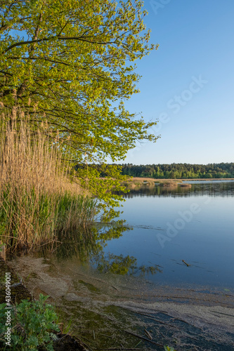 View of a pond near Mönau