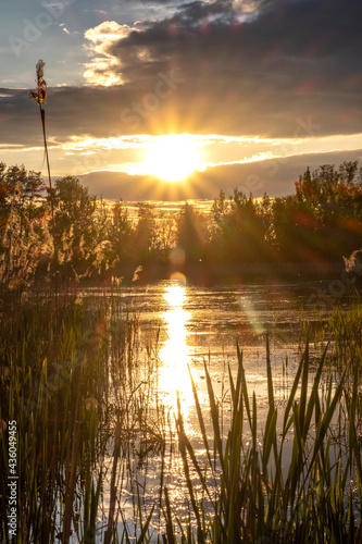 Sunset in the Upper Lusatian Heath and Pond Landscape Biosphere Reserve