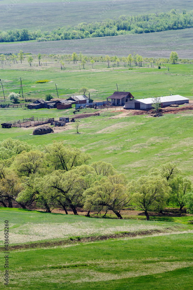 Agricultural farm among the spring fields. Photo taken near the village of Voskresenovka, Orenburg region, Russia Agricultural farm among the spring fields. Photo taken near the village of Voskresenovka, Orenburg region, Russia