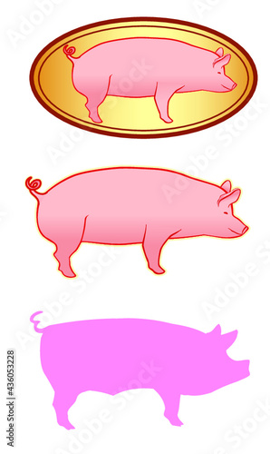 image, porc, cochon