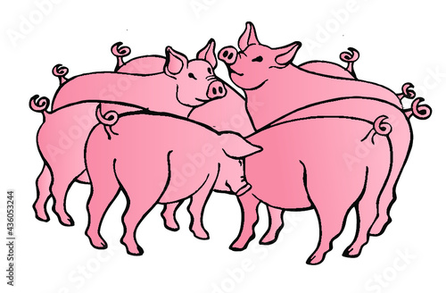 élevage de porcs