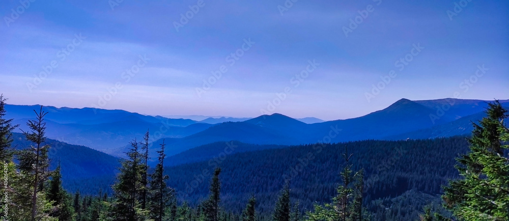 Mountain hills with coniferous trees. Landscape with clouds. View of the Carpathian Mountains. Ukraine. Europe