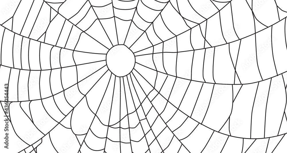 Obraz premium Cobweb, isolated on white background.