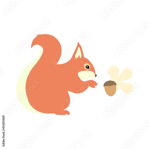 Squirrel character cute animal in wildlife