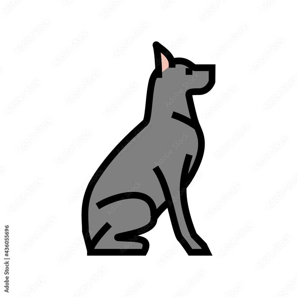 dog pet color icon vector. dog pet sign. isolated symbol illustration
