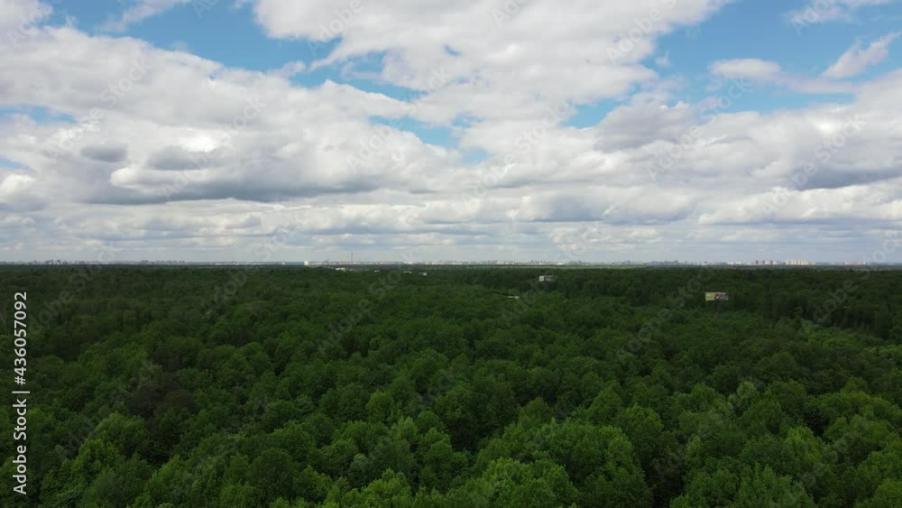 Aerial view of forest 4K Aerial view of forest 4K