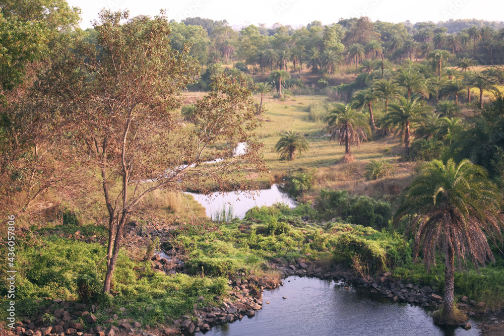 Blue water stream flowing from the middle of the agricultural land with green surroundings