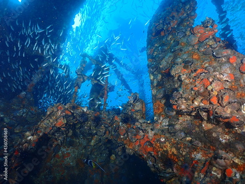 Shipwreck Mast underwater 
