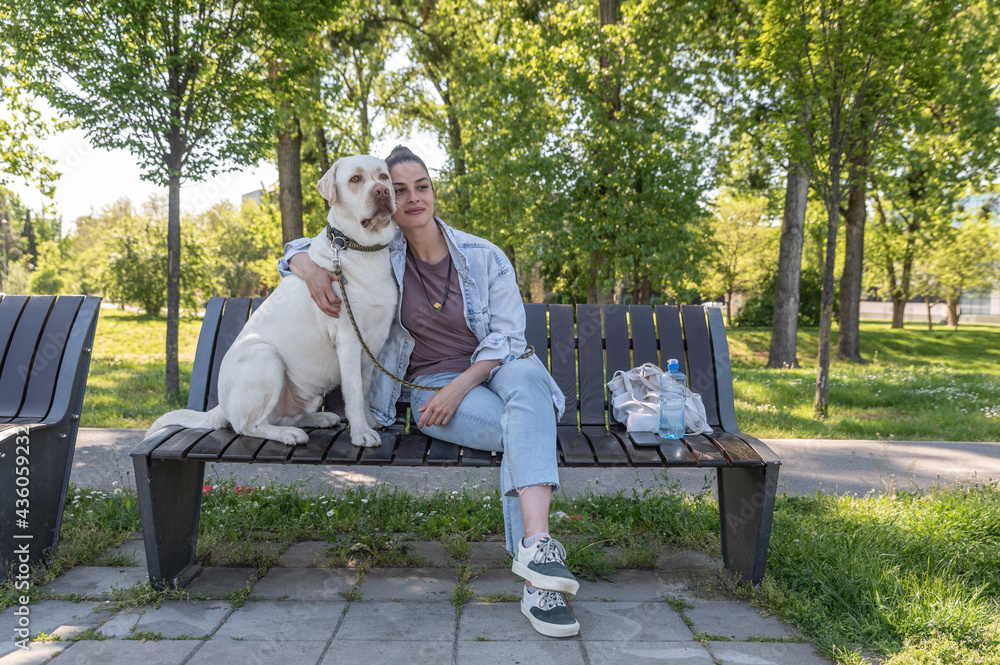 Fototapeta premium Young beautiful woman sitting with her pet dog golden Labrador Retriever on the park bench and watching together handsome men with their dogs walking by