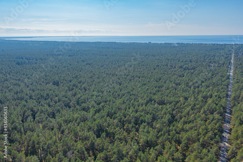 Road in a pine forest, Green, forest area on the coast of the Gulf of Finland,. Summer day, view from a drone at the mouth of the Narva in the Baltic States, Estonia, narva jõesuu,