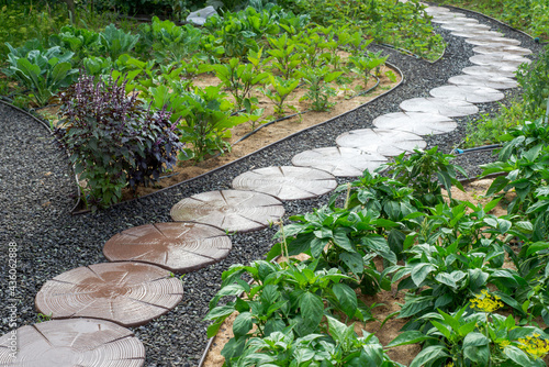 Stone path winding in vegetable garden photo