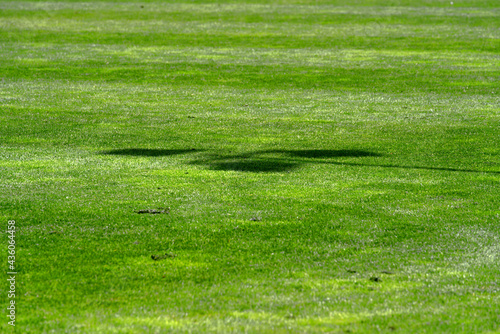 Close-up of fresh mowed football field at springtime with shadow of spotlights. Photo taken May 27th, 2021, Zurich, Switzerland.