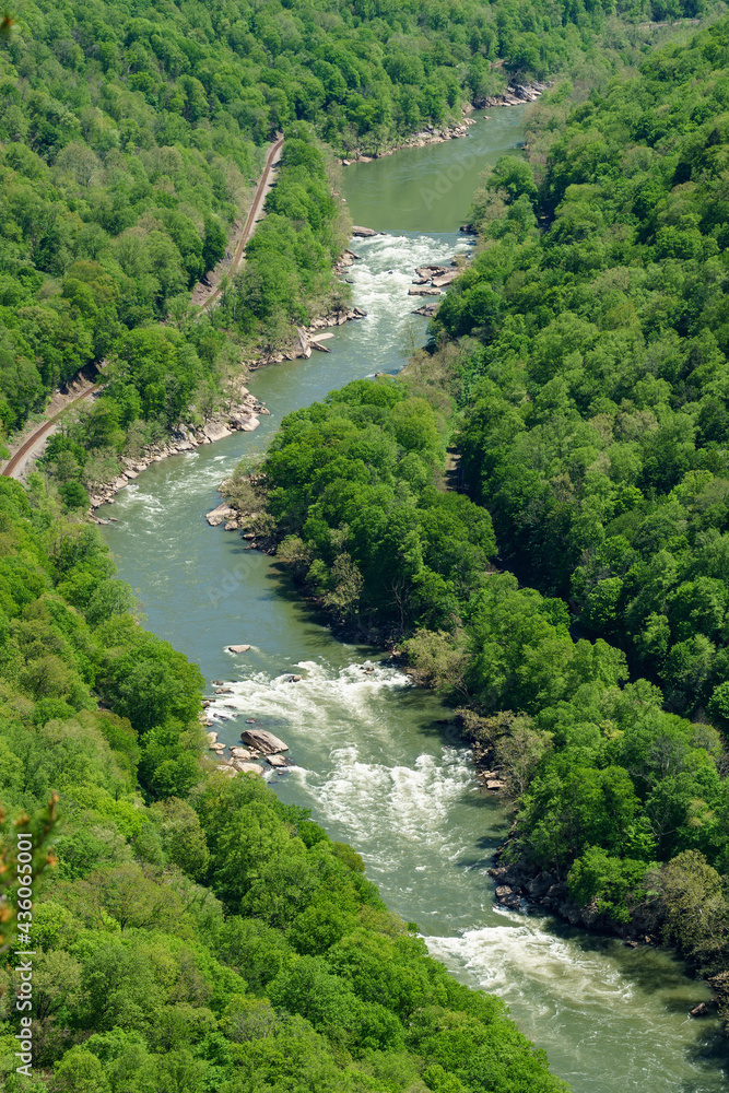 Rapids, boulders, and Spring green along the New River gorge