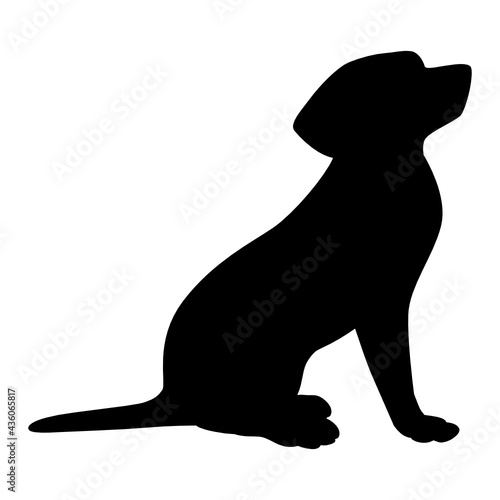 black puppy silhouette